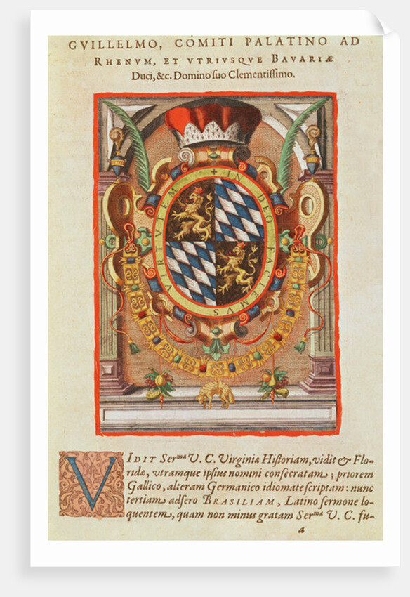 Coat of Arms by Theodor de Bry