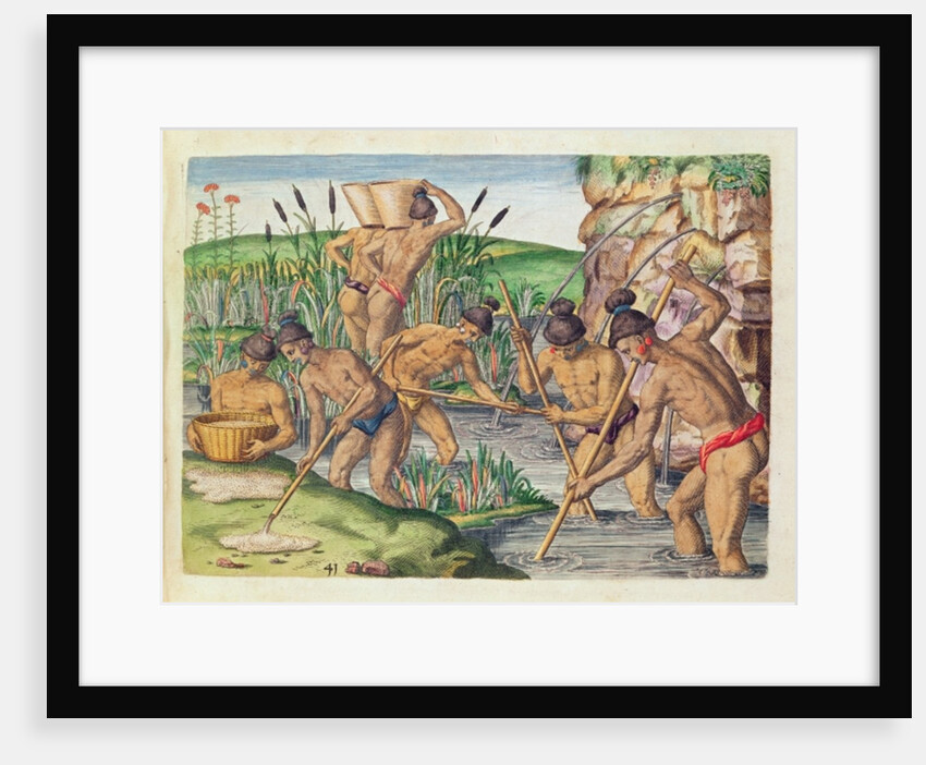 How the Indians Collect Gold from the Streams by Jacques (1533-88) (after) Le Moyne