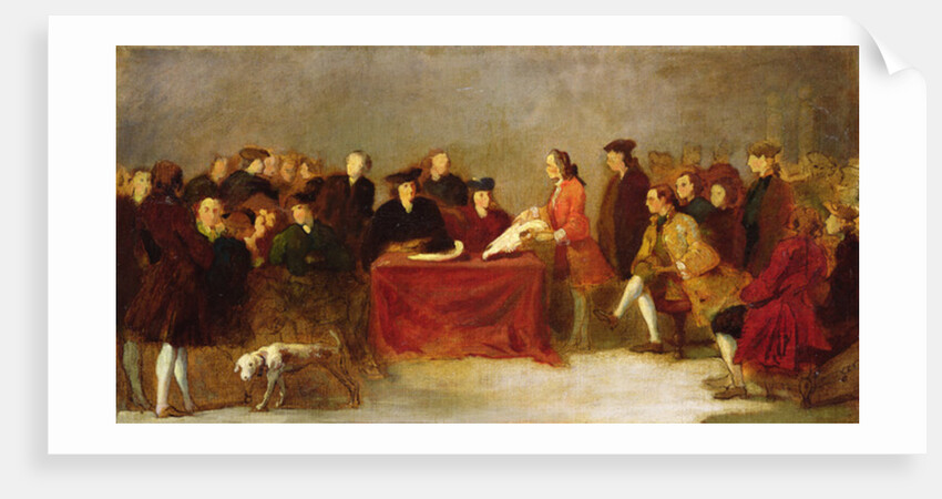 Meeting of the Academy or, Natural History Examination in Venice by Italian School