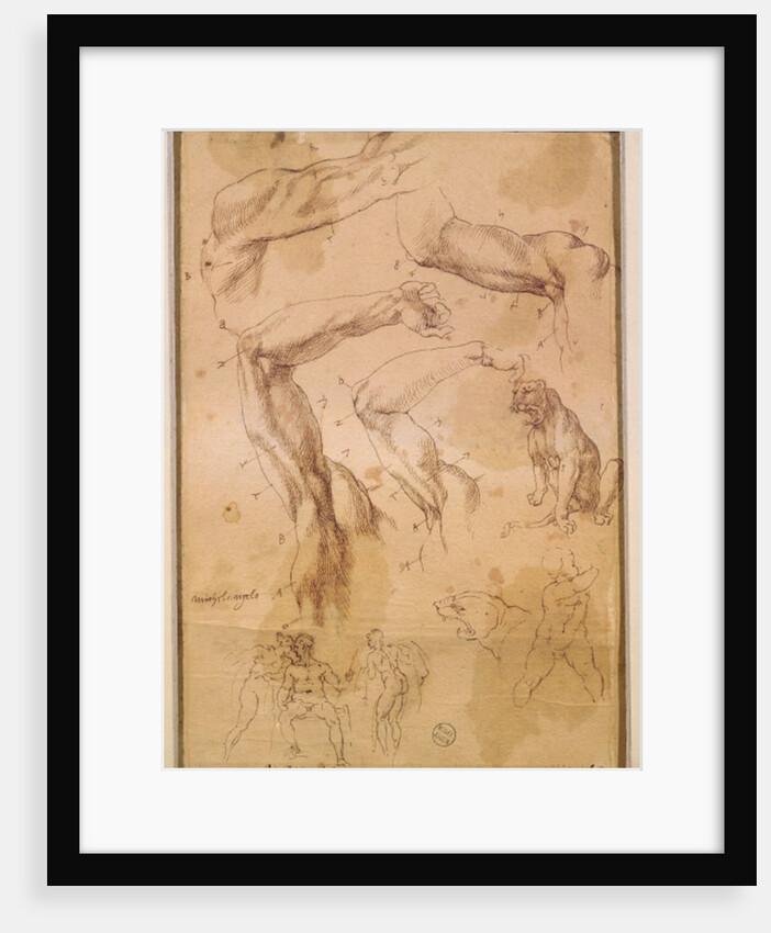 Ms H 184 fol.202 Studies of raised arms, a wild cat and a group of figures by Michelangelo Buonarroti