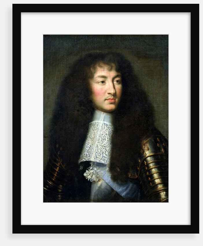 Portrait of Louis XIV, 1661-62 by Charles Le Brun