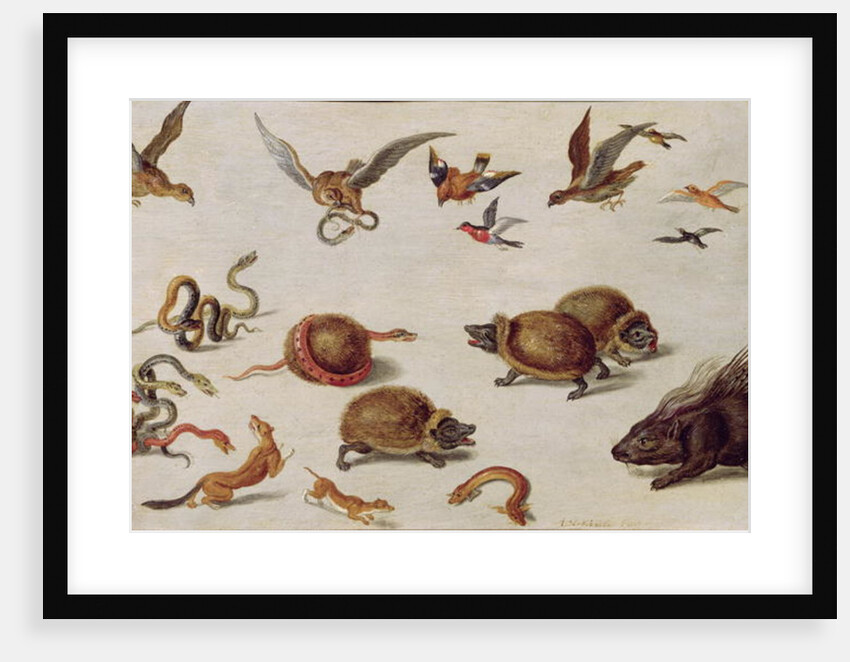 The Enemies of Snakes by Jan van the Elder Kessel