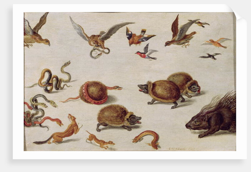 The Enemies of Snakes by Jan van the Elder Kessel