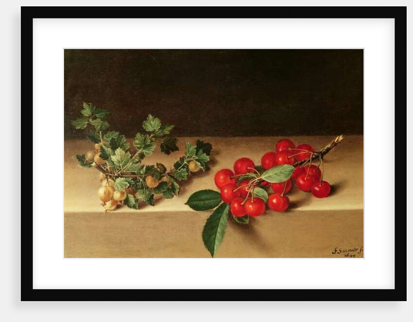 Fruit on the Table, 1644 by Francis Garnier
