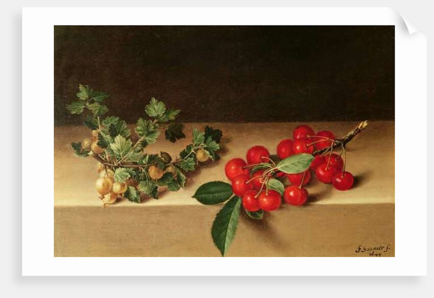 Fruit on the Table, 1644 by Francis Garnier