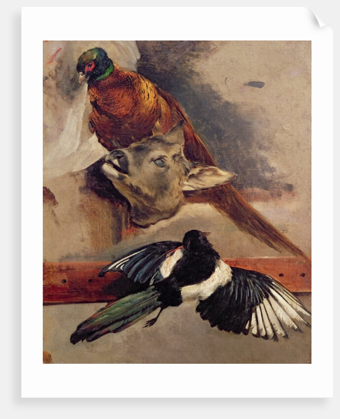 Still Life of Game, c.1812-16 by Theodore Gericault