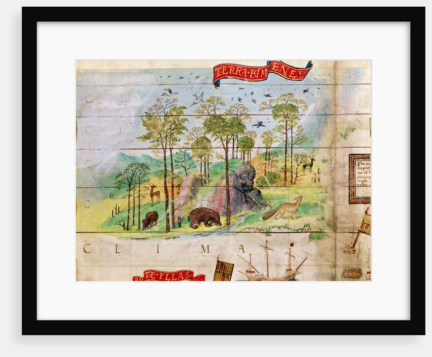 The Canadian Forest by French School