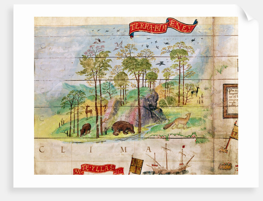 The Canadian Forest by French School