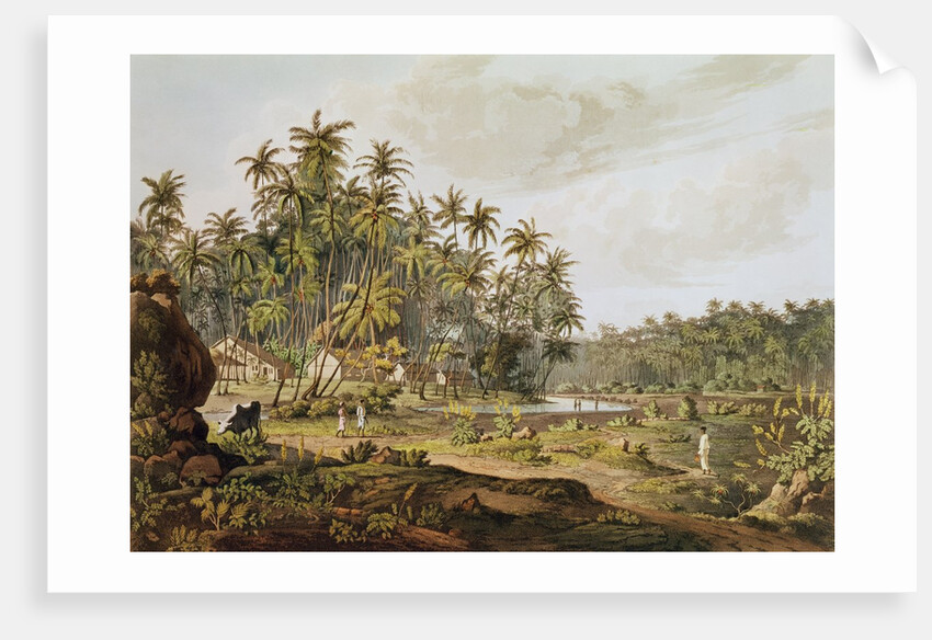 View near Point du Galle, Ceylon by Henry Salt (after)