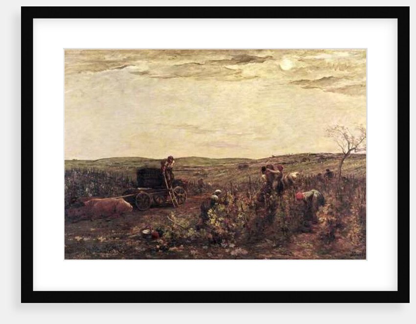 The Wine Harvest in Burgundy, 1863 by Charles Francois Daubigny