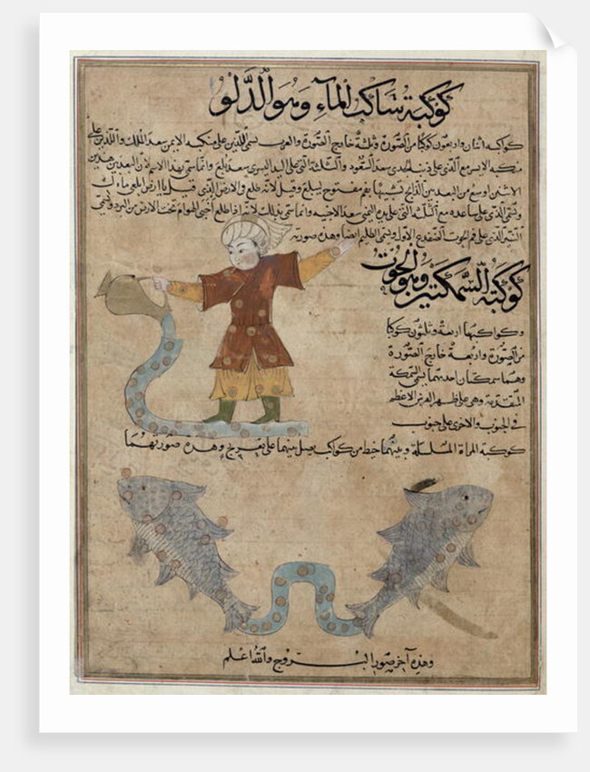 Aquarius and Pisces by Islamic School