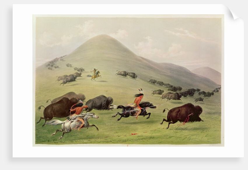 The Buffalo Hunt, c.1832 by George Catlin