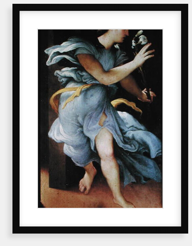 The Archangel Gabriel, left hand panel from the Annunciation by Lorenzo Lotto