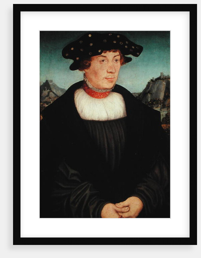 Portrait of Hans Melber, 1526 by Lucas the Elder Cranach