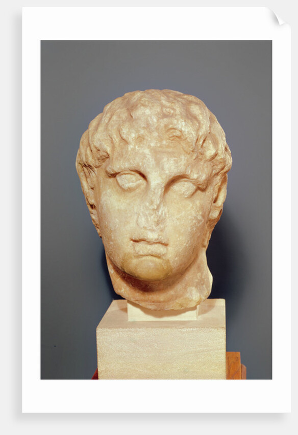 Head of one of the Diadochi or Head of Alexander III the Great by Greek school
