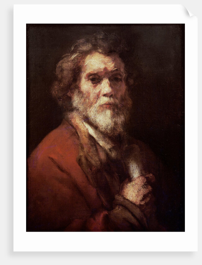 Head of an Old Man, c.1650 by Carel (attr. to) Fabritius