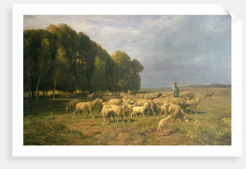 Flock of Sheep in a Landscape by Charles Emile Jacque
