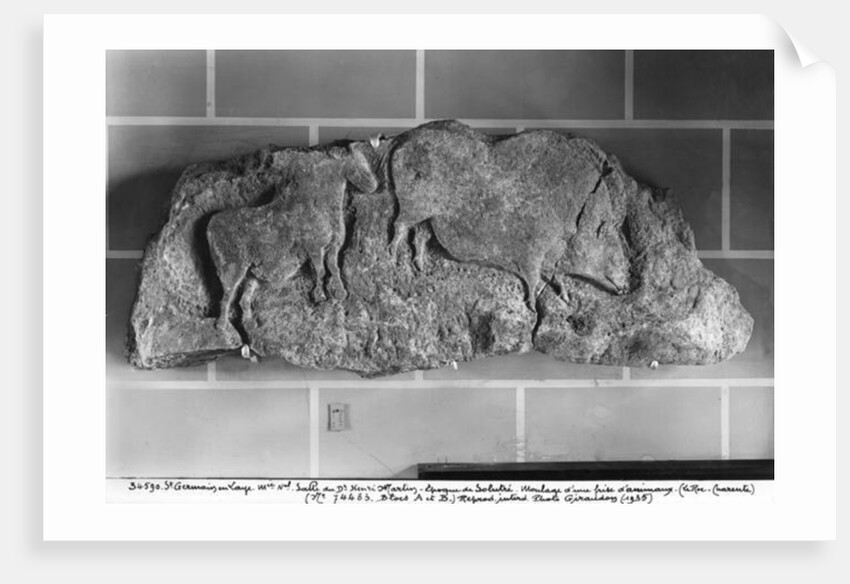 Cast of a frieze of animals from Le Roc de Sers, Charente, Solutrean Period, 20000-15000 BC by Prehistoric Prehistoric