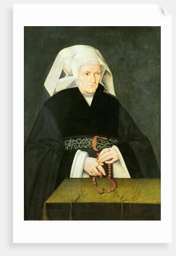 Portrait of a Woman, c.1550 by Bartholomaeus the Elder Bruyn