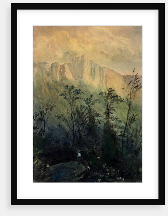 Landscape in the Vosges, c.1883 by Gustave Dore
