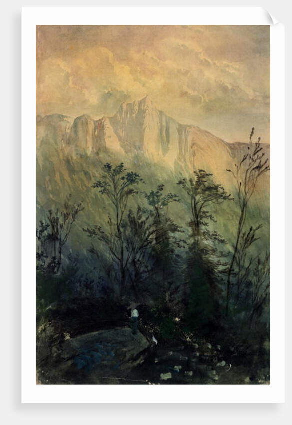 Landscape in the Vosges, c.1883 by Gustave Dore