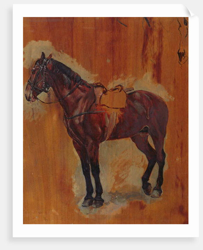 Study of a Horse by Jean-Louis Ernest Meissonier