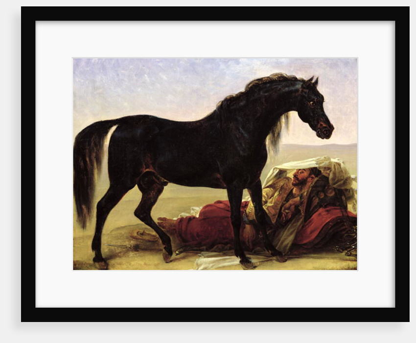 An Arabian Horse by Baron Antoine Jean Gros