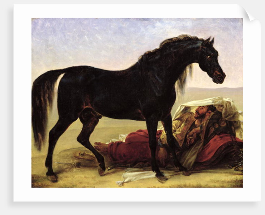 An Arabian Horse by Baron Antoine Jean Gros