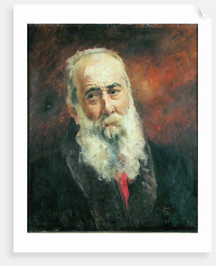 Cardinal Charles Lavigerie Archbishop of Algeria by French School