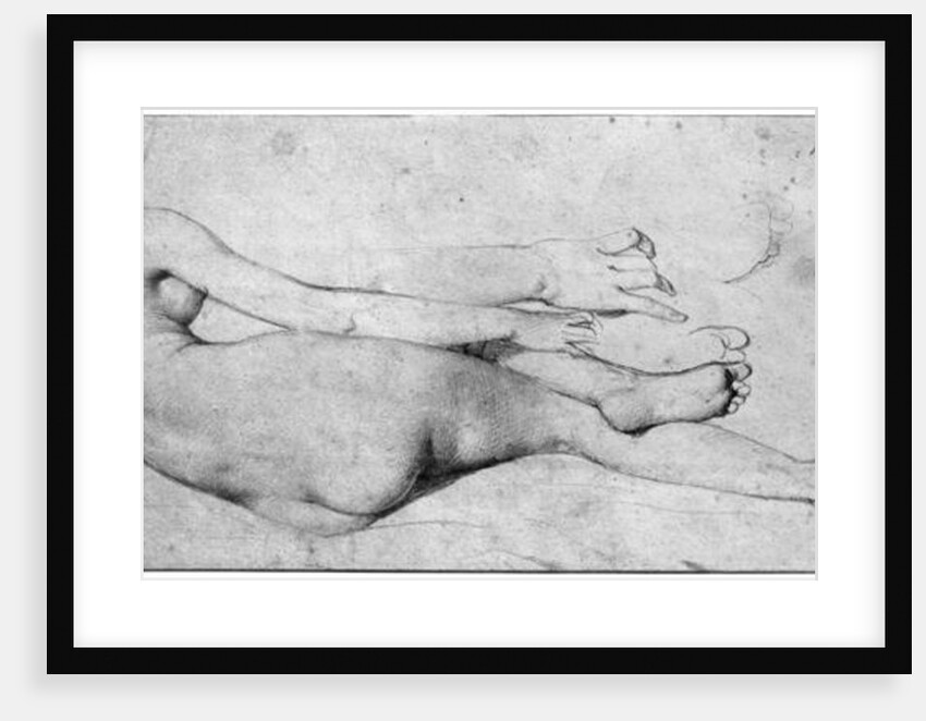 Study for The Grande Odalisque by Jean Auguste Dominique Ingres