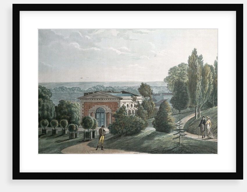 The Hothouse in the Jardin des Plantes, Paris by F.G. Wexelberg