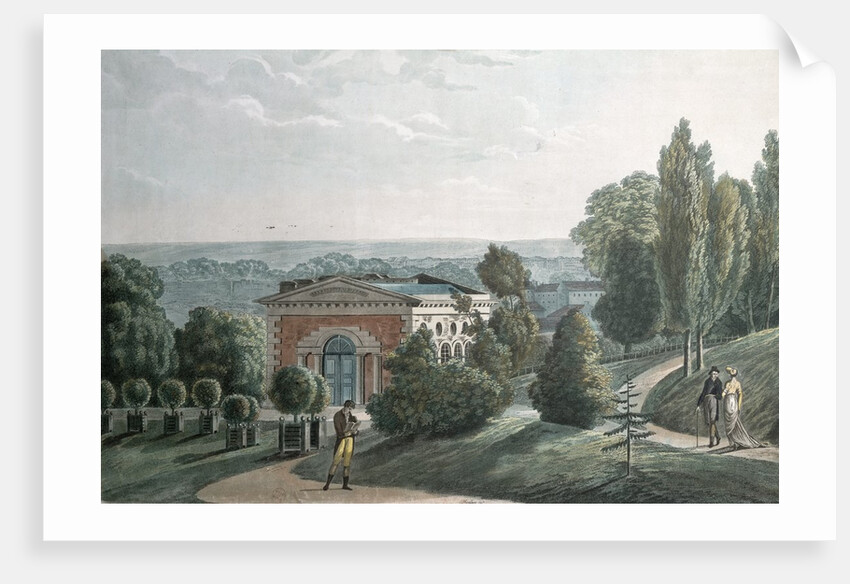 The Hothouse in the Jardin des Plantes, Paris by F.G. Wexelberg
