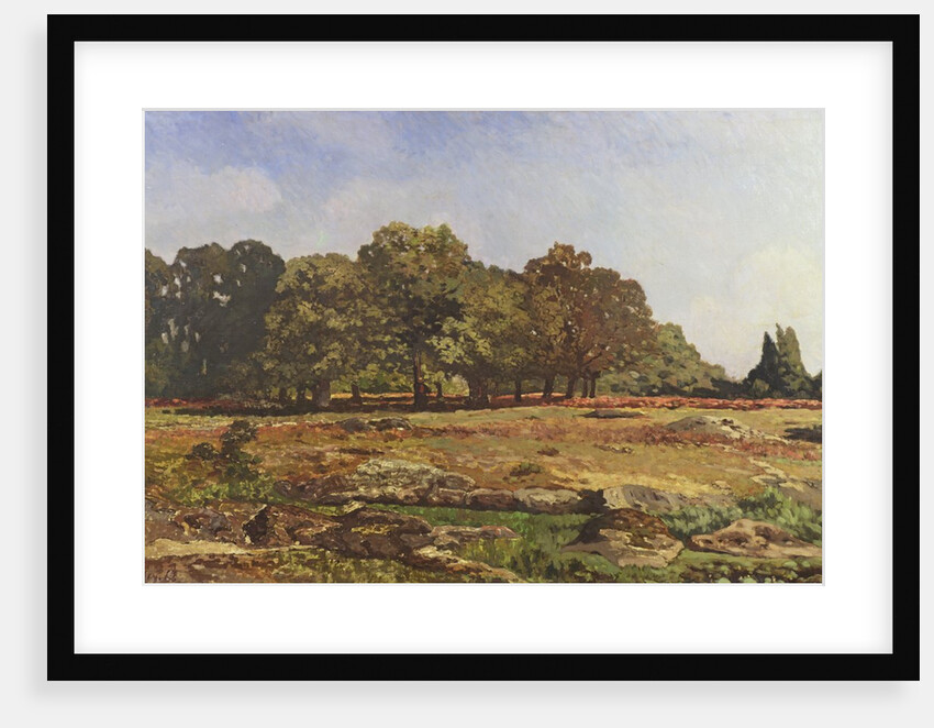 Avenue of Chestnut Trees at La Celle-Saint-Cloud, c.1866-67 by Alfred Sisley