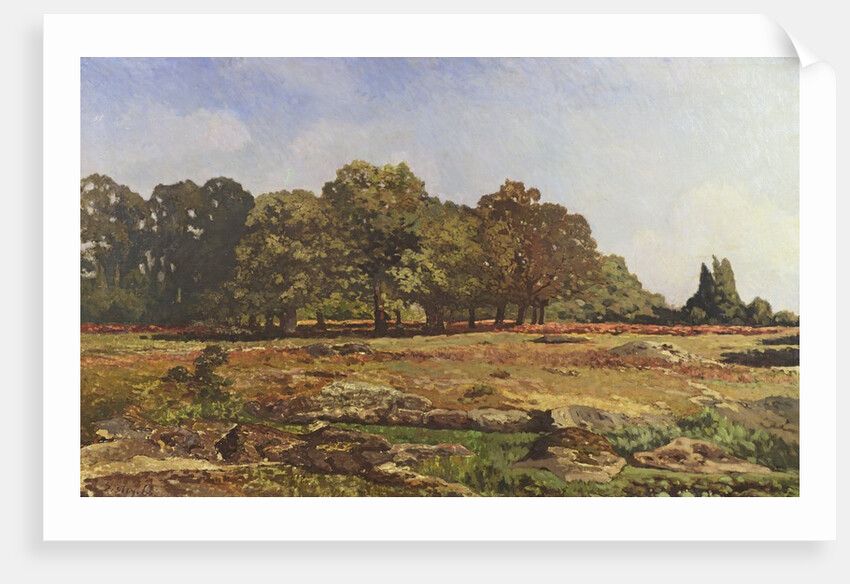 Avenue of Chestnut Trees at La Celle-Saint-Cloud, c.1866-67 by Alfred Sisley