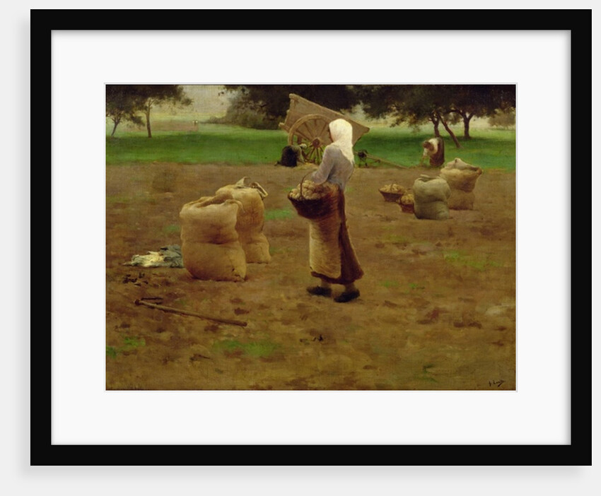 Harvesting Potatoes by Henri Lerolle