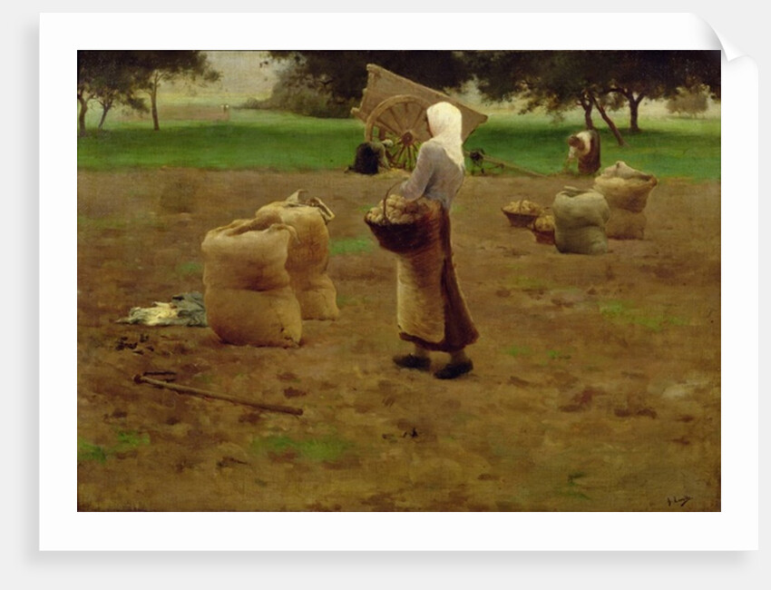 Harvesting Potatoes by Henri Lerolle