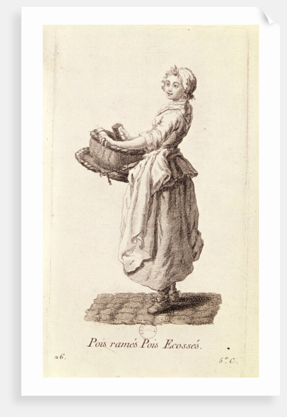 The Pea Seller by French School