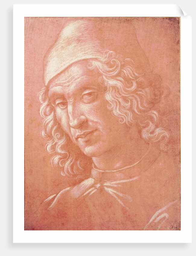 Head of a Man by Davide Ghirlandaio