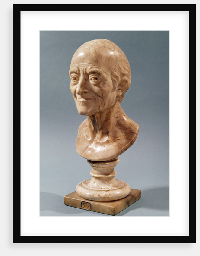 Bust of Voltaire by Francois Marie Rosset