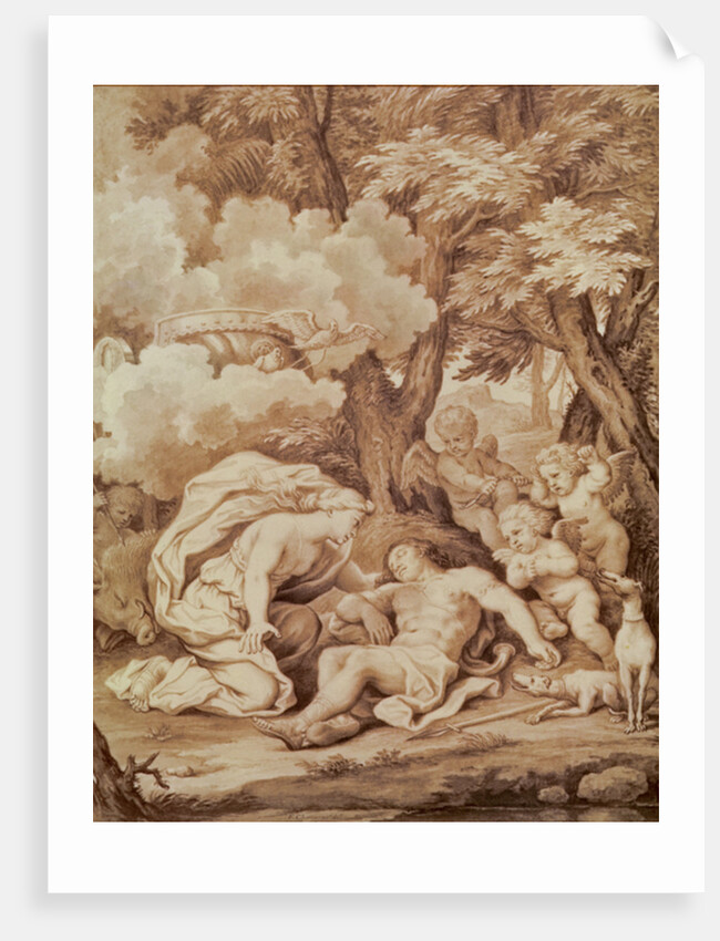 Venus Discovering Adonis by Francois Chauveau