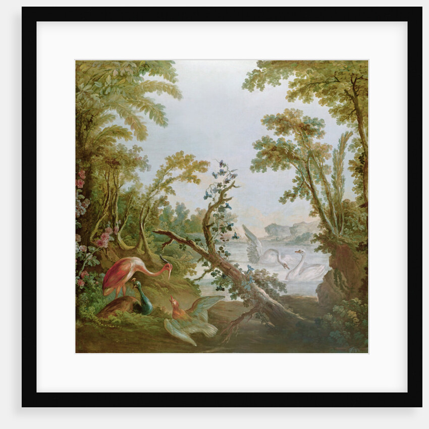 Lake with swans, a flamingo and various birds by Francois (studio of) Boucher