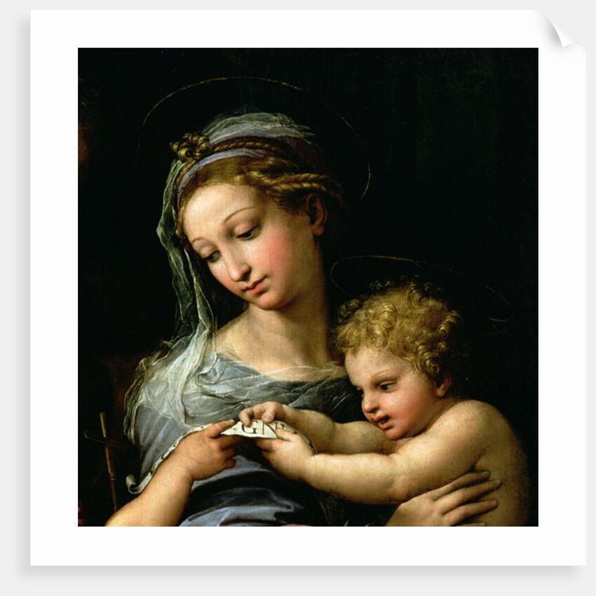 The Virgin of the Rose, c.1518 by Raphael