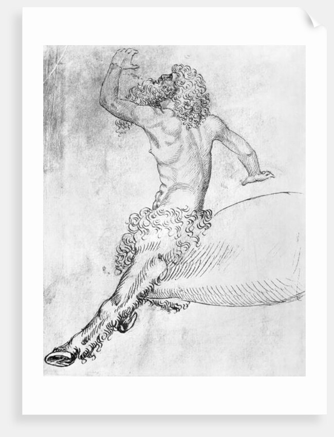 Centaur by Antonio Pisanello