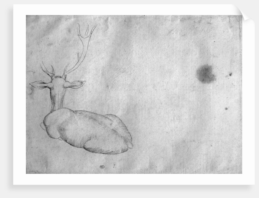 Resting stag, seen from behind by Antonio Pisanello
