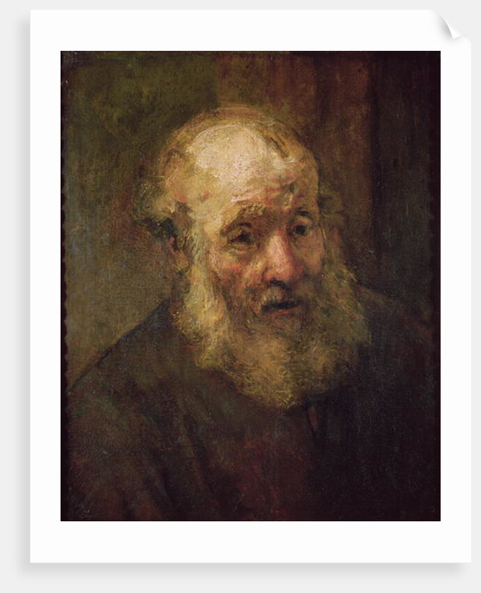 Head of an Old Man, c.1650 by Rembrandt Harmensz. van Rijn