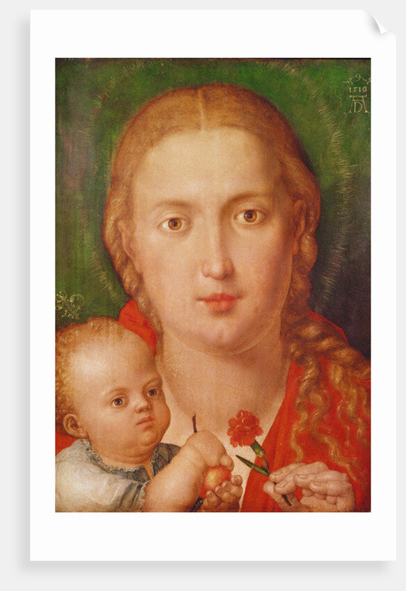 Madonna of the Carnation, 1516 by Albrecht Dürer or Duerer