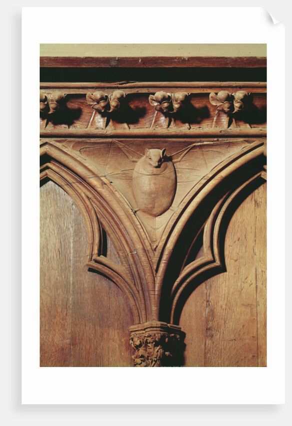 Vampire bat by French School