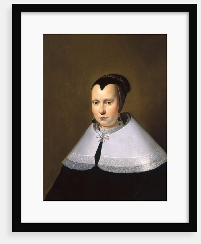 Portrait of a Woman by Michiel Jansz. van Miereveld