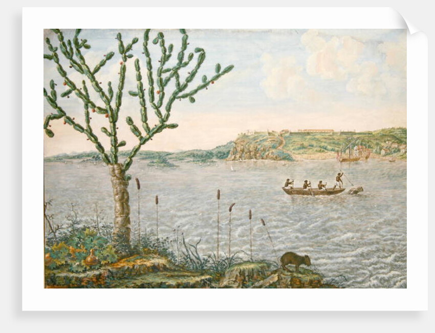 View of Fort Maurice on the Rio San Francisco by Frans Jansz Post