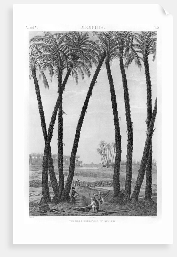 View of the ruins of Memphis seen from the south east by Andre Dutertre